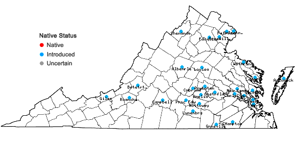 Locations ofKickxia elatine (L.) Dumort. in Virginia