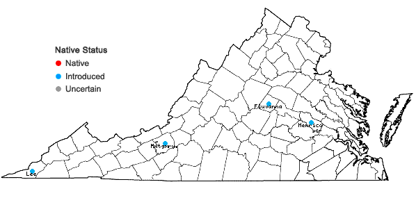 Locations ofKolkwitzia amabilis Graebner in Virginia