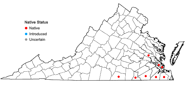 Locations ofKrigia cespitosa (Raf.) Chambers in Virginia