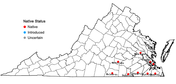 Locations ofKrigia cespitosa (Raf.) Chambers in Virginia