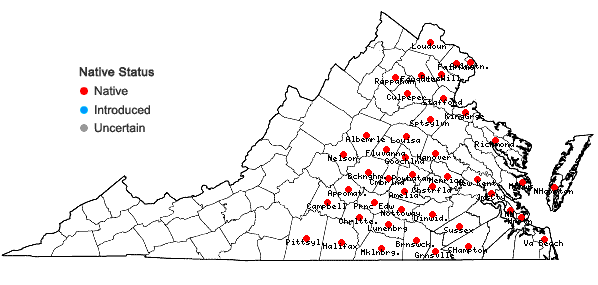 Locations ofKrigia dandelion (L.) Nutt. in Virginia