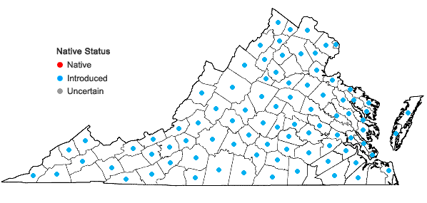 Locations ofKummerowia stipulacea (Maxim.) Makino in Virginia