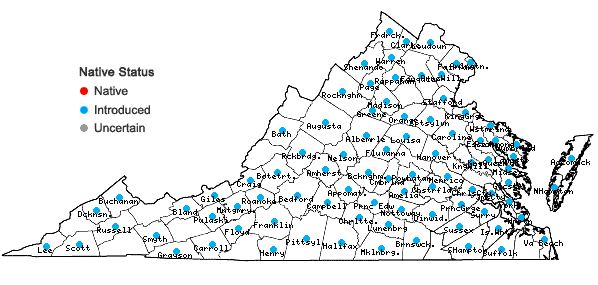 Locations ofKummerowia stipulacea (Maxim.) Makino in Virginia