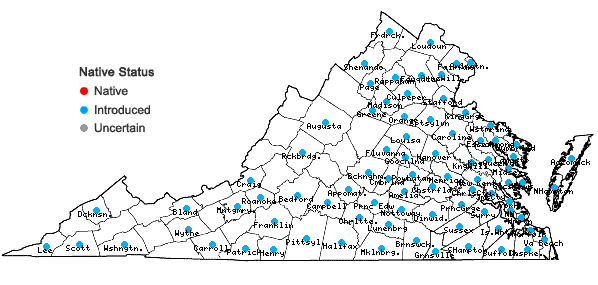 Locations ofKummerowia striata (Thunb.) Schindl. in Virginia