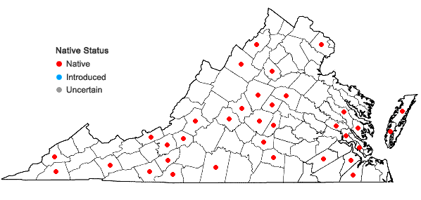Locations ofKurzia sylvatica (A. Evans) Grolle in Virginia