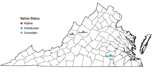 Locations ofLablab purpureus (L.) Sweet in Virginia