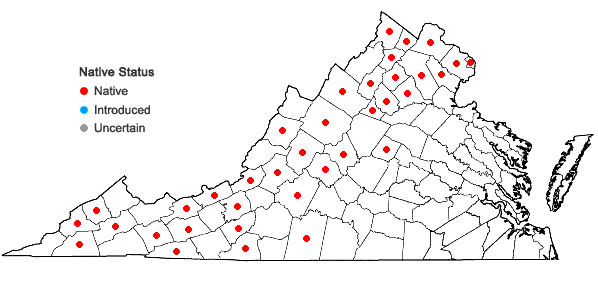 Locations ofLactuca biennis (Moench) Fern. in Virginia