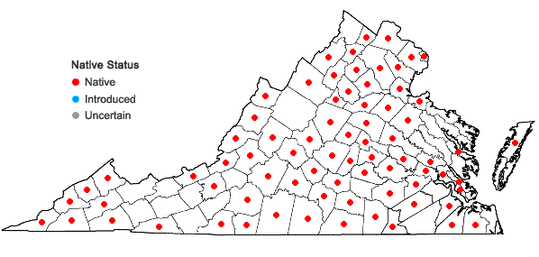 Locations ofLactuca floridana (L.) Gaertn. in Virginia