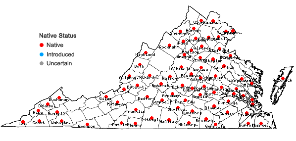 Locations ofLactuca floridana (L.) Gaertn. in Virginia