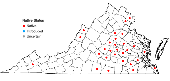 Locations ofLactuca hirsuta Muhl. ex Nutt. in Virginia