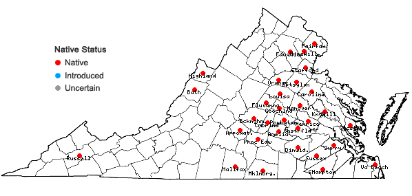 Locations ofLactuca hirsuta Muhl. ex Nutt. in Virginia