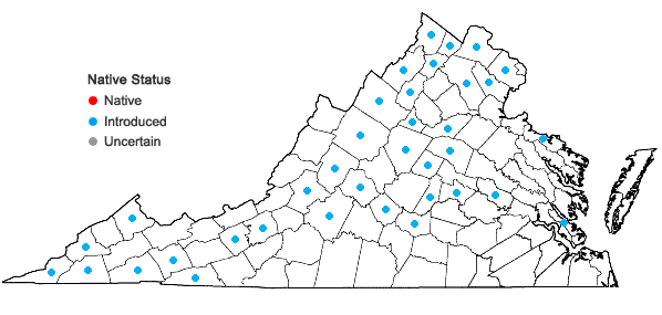 Locations ofLactuca saligna L. in Virginia