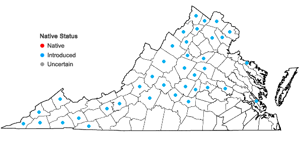 Locations ofLactuca saligna L. in Virginia