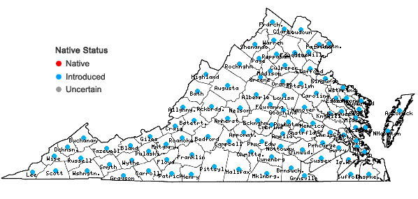 Locations ofLactuca serriola L. in Virginia