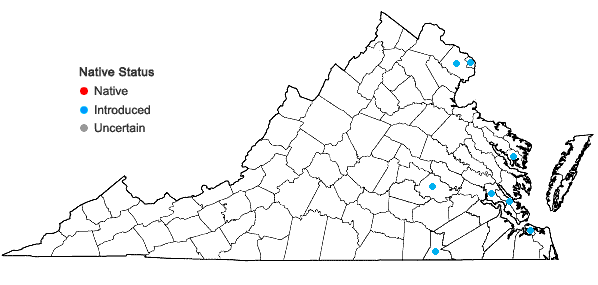 Locations ofLagerstroemia indica L. in Virginia