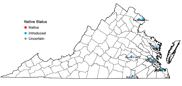 Locations ofLagerstroemia indica L. in Virginia