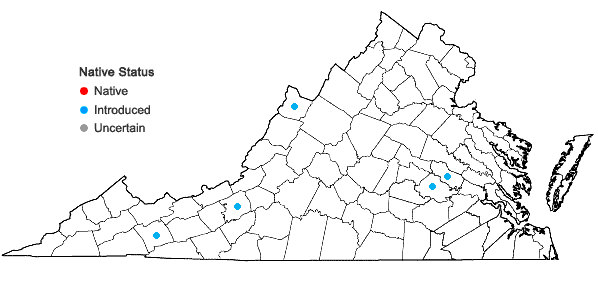 Locations ofLamium maculatum L. in Virginia