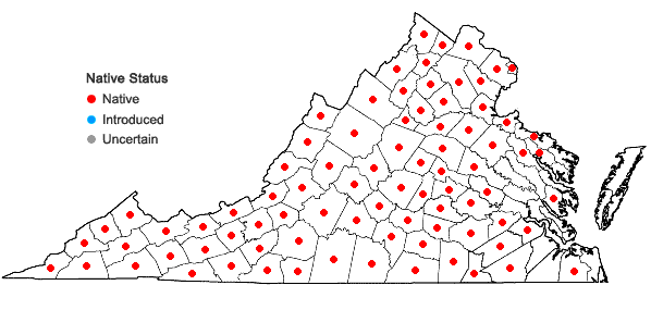 Locations ofLaportea canadensis (L.) Weddell in Virginia