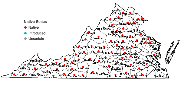 Locations ofLaportea canadensis (L.) Weddell in Virginia