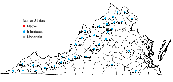 Locations ofLapsana communis L. in Virginia