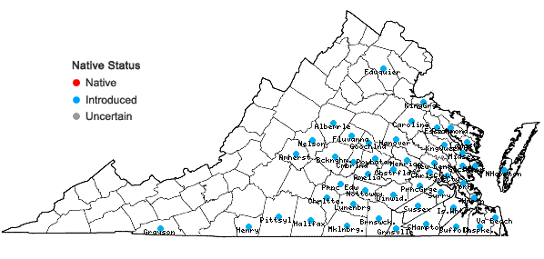 Locations ofLathyrus hirsutus L. in Virginia