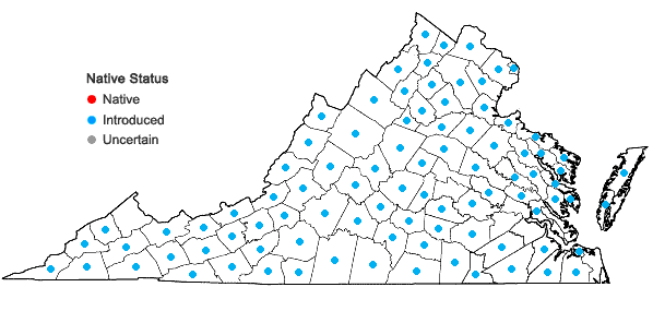 Locations ofLathyrus latifolius L. in Virginia