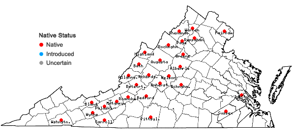 Locations ofLathyrus venosus Muhl. ex Willd. var. venosus in Virginia