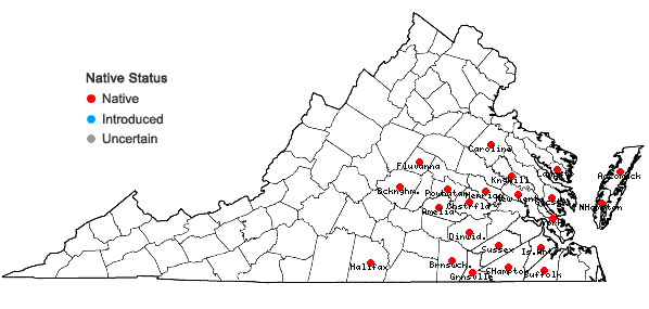 Locations ofLechea minor L. in Virginia