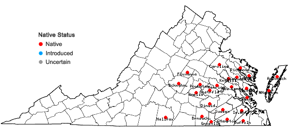 Locations ofLechea minor L. in Virginia