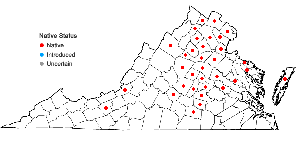 Locations ofLechea pulchella Raf. var. pulchella in Virginia