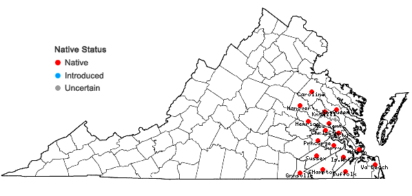 Locations ofLeersia lenticularis Michx. in Virginia