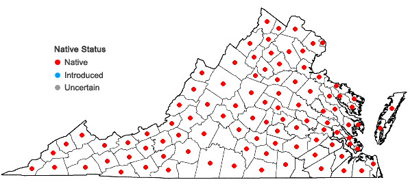 Locations ofLeersia oryzoides (L.) Sw. in Virginia