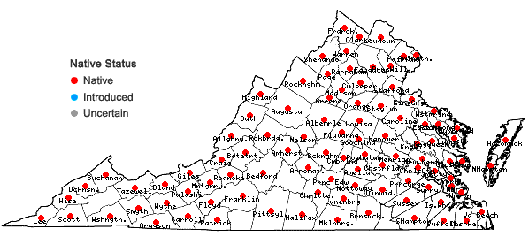 Locations ofLeersia oryzoides (L.) Sw. in Virginia