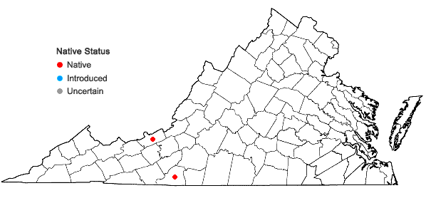 Locations ofLejeunea blomquistii R.M. Schuster in Virginia