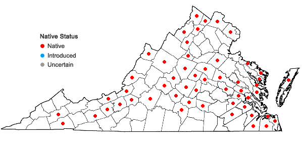 Locations ofLemna minor L. in Virginia