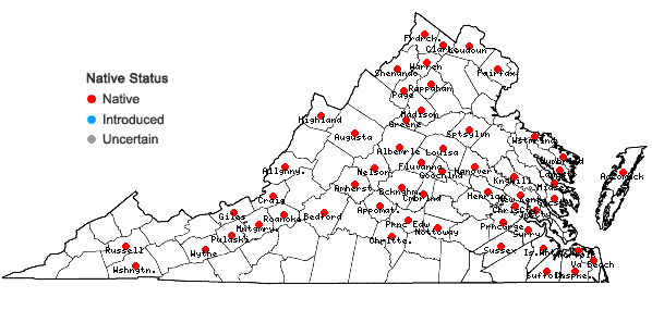 Locations ofLemna minor L. in Virginia