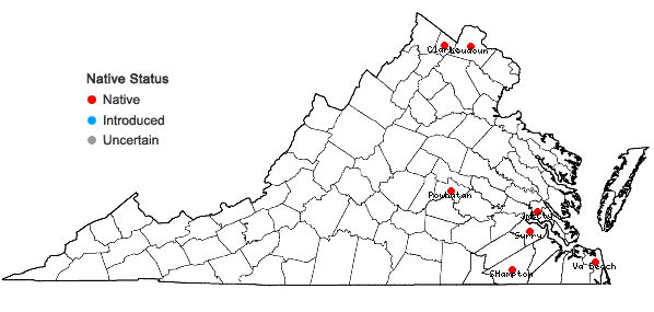 Locations ofLemna obscura (C.F. Austin) E.H. Daubs in Virginia