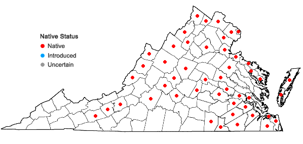 Locations ofLemna valdiviana Phil. in Virginia