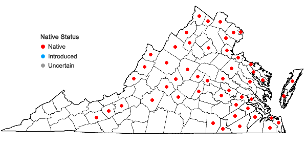 Locations ofLemna valdiviana Phil. in Virginia