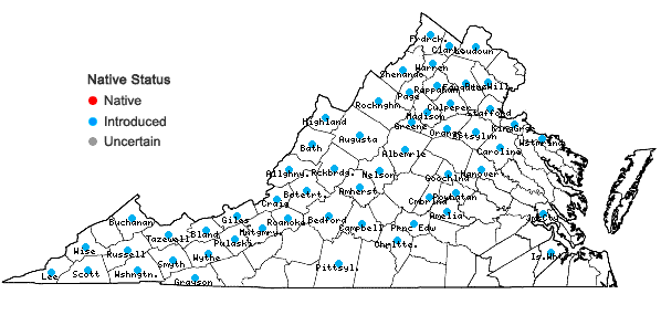 Locations ofLeonurus cardiaca L. ssp. cardiaca in Virginia