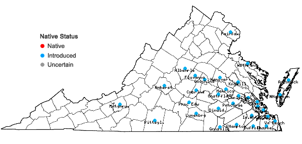 Locations ofLepidium didymum L. in Virginia