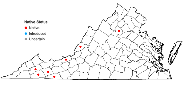 Locations ofLepidozia reptans (L.) Dumort. in Virginia