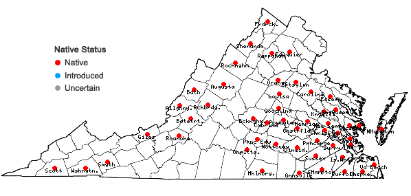 Locations ofLeptodictyum riparium (Hedw.) Warnst. in Virginia