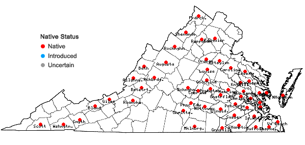 Locations ofLeptodictyum riparium (Hedw.) Warnst. in Virginia