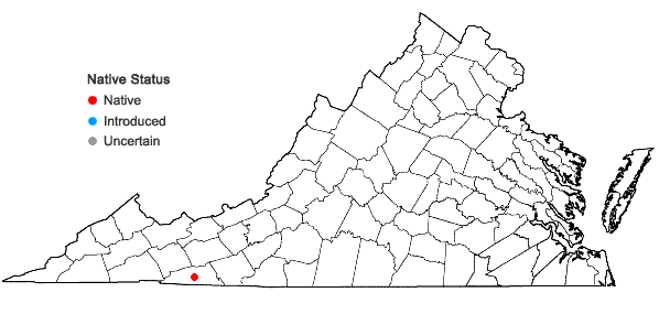 Locations ofLeptoscyphus cuneifolius (Hook.) Mitt. ssp. cuneifolius in Virginia