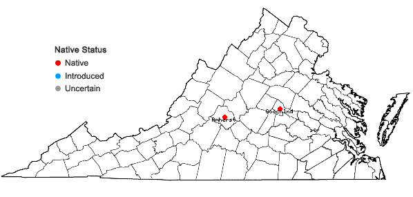 Locations ofLeskea australis Sharp in Virginia