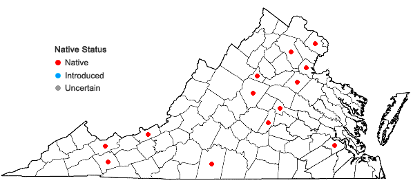 Locations ofLeskea obscura Hedwig in Virginia