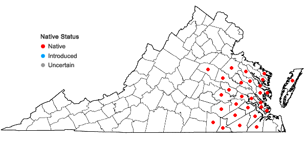 Locations ofLespedeza angustifolia (Pursh) Ell. in Virginia