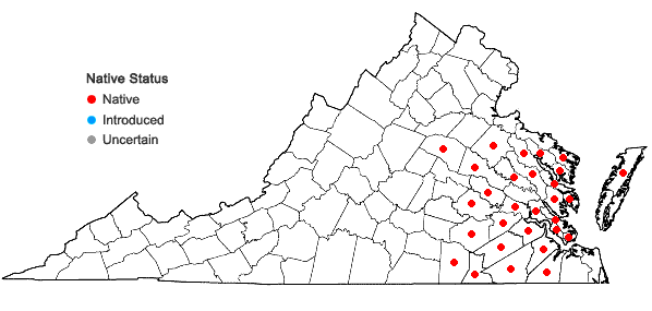 Locations ofLespedeza angustifolia (Pursh) Ell. in Virginia