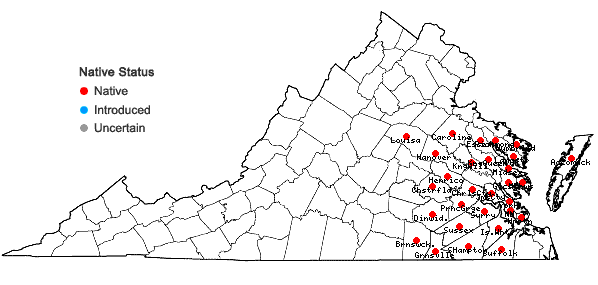 Locations ofLespedeza angustifolia (Pursh) Ell. in Virginia